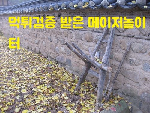 먹튀검증 받은 메이저놀이터 바로가기